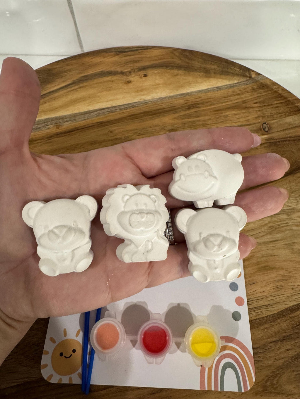 Set of 10 animal themed plaster painting party favors